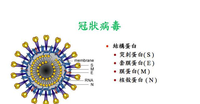 浙江大学研究人员从新冠肺炎患者眼泪中首次检出病毒有什么意义