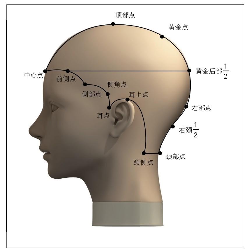 头部各个位置的点,观察发髻的细微变化11.