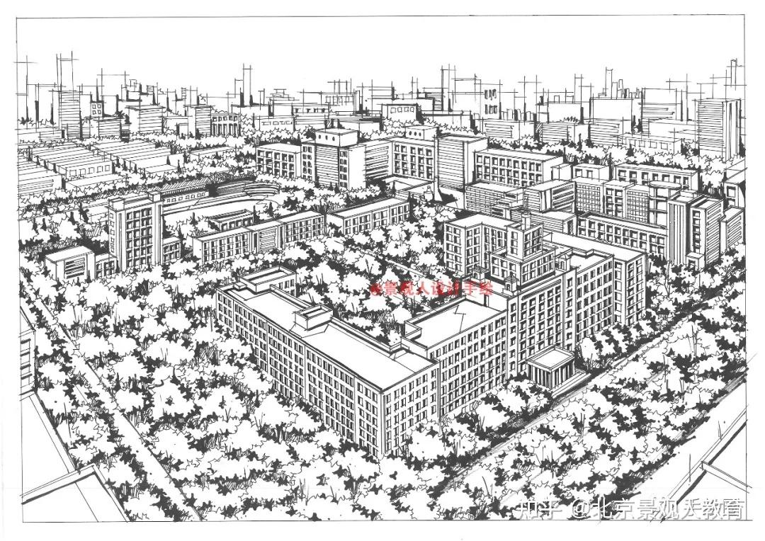 手绘最美校园系列东北林业大学学参天地德合自然