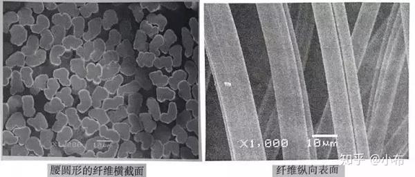 03莱赛尔纤维