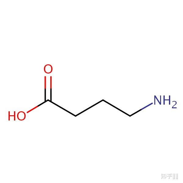 γ氨基丁酸gaba在人体中有哪些功效其主要应用于哪些方面