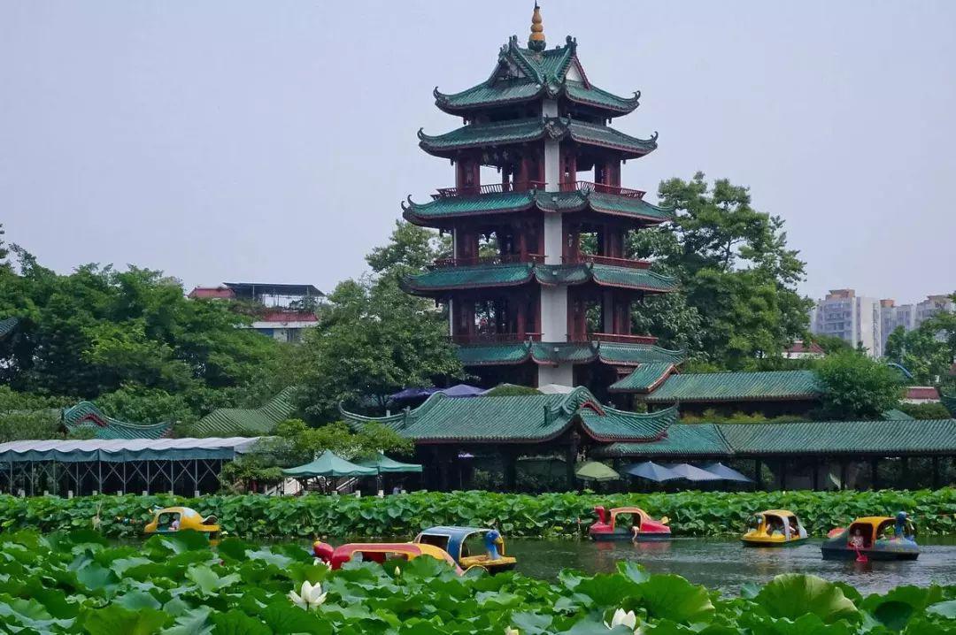 成都旅游必去景点推荐—宝光桂湖文化旅游区 #低音号导游