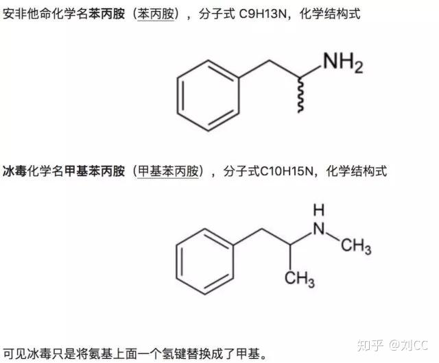 当你在吃减肥药的时候,到底在吃什么.