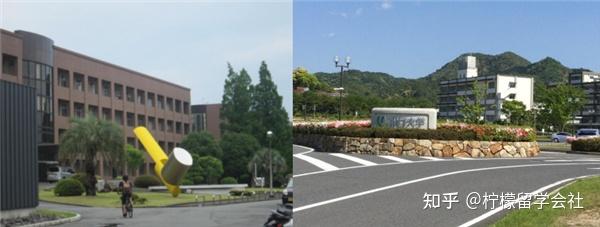 柠檬日本大学巡礼在日本山口大学就读是一种怎样的体验