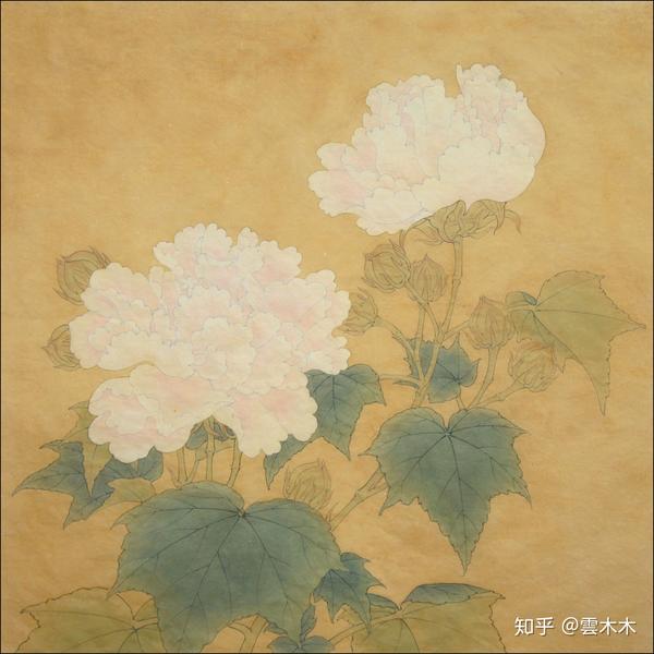 宋小品《李迪红芙蓉 》国画工笔,绘画步骤图