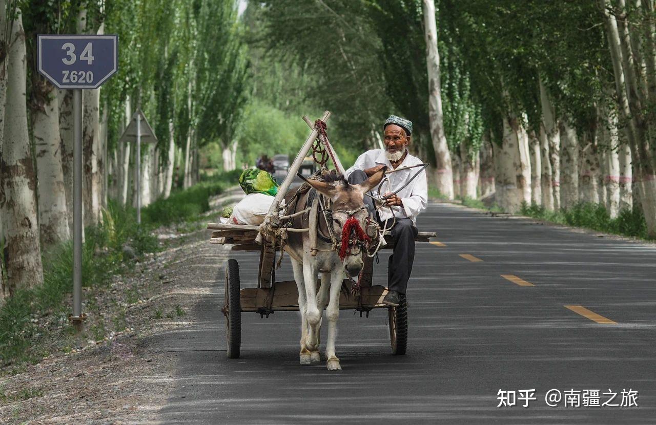 来到南疆的农村,几乎无处不见毛驴车,特别是到了巴扎日(赶集日),南来