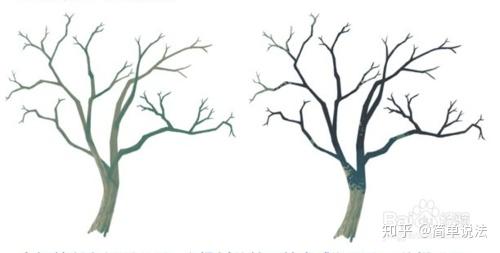 如何使用优动漫paint绘画一颗树