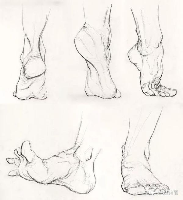 绘画参考,动漫人体脚部素材.