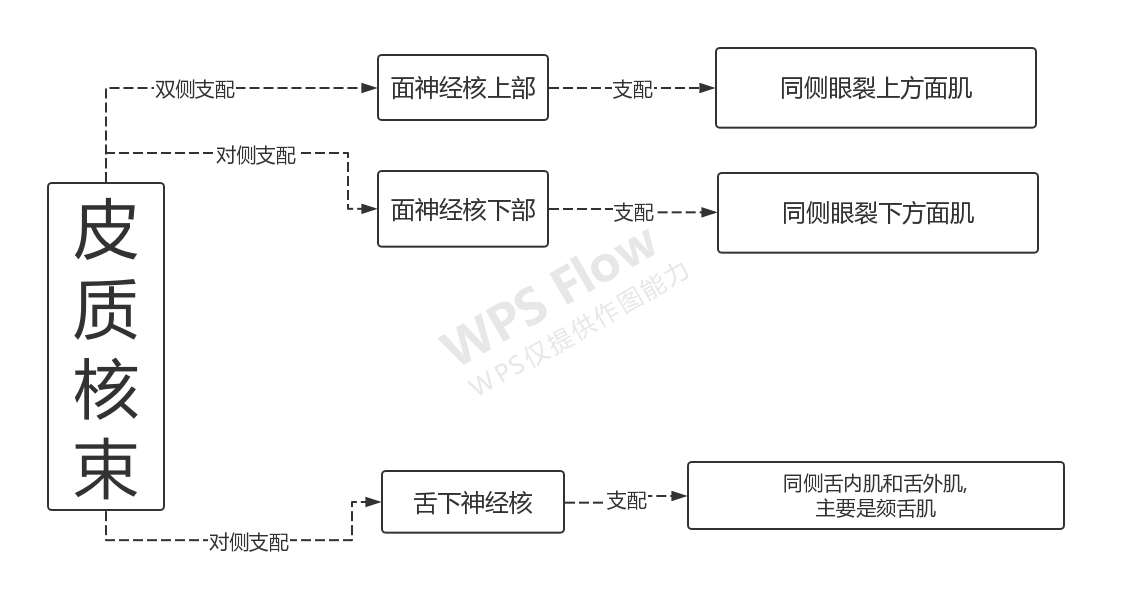 系统解剖学神经系统核上瘫和核下瘫