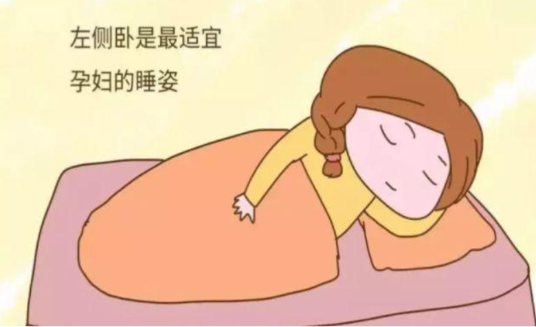 首发于孕期知识 怀孕后,孕妈都深知睡眠对于自己和胎儿健康的重要性