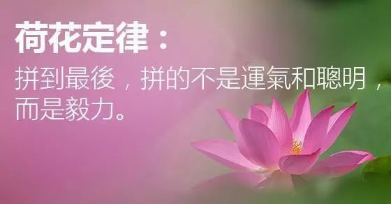 最著名的荷花定律