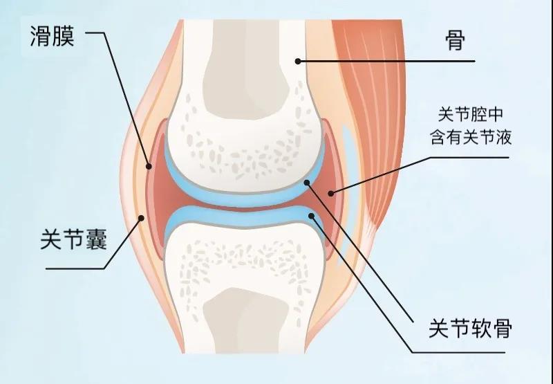 天气转凉,关节痛来了,如何保护最怕冷的膝关节?