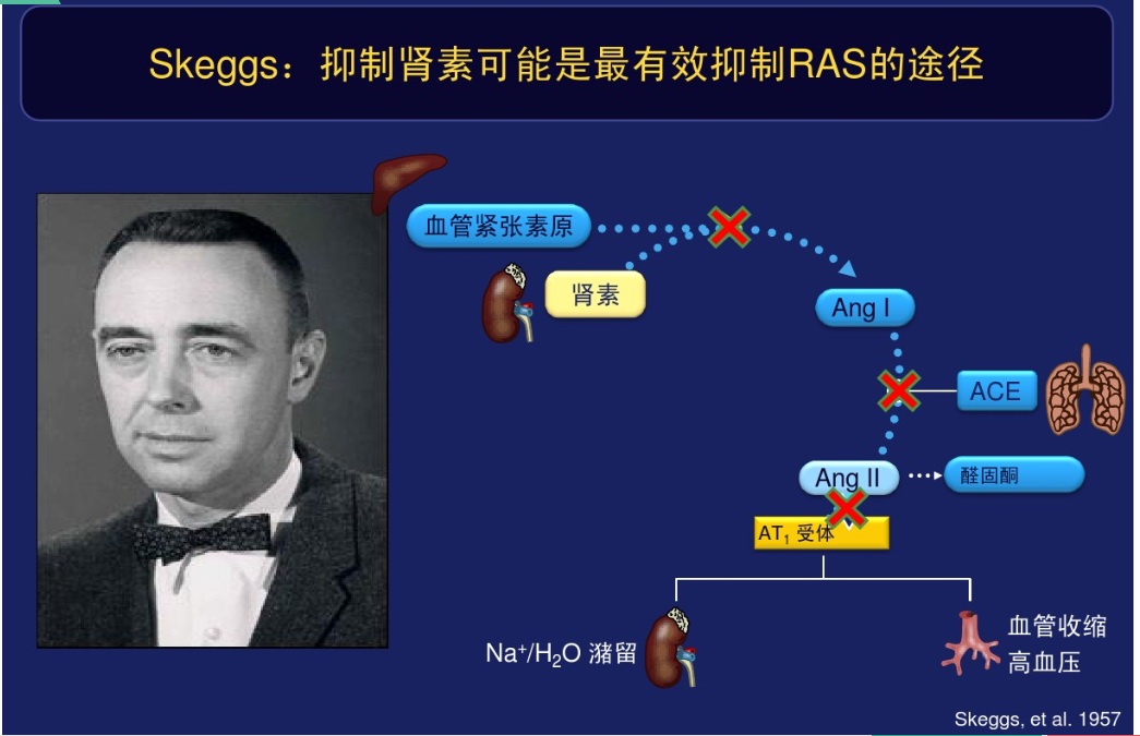 122肾素之现话说肾素血管紧张素系统