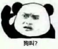 沙雕熊猫头
