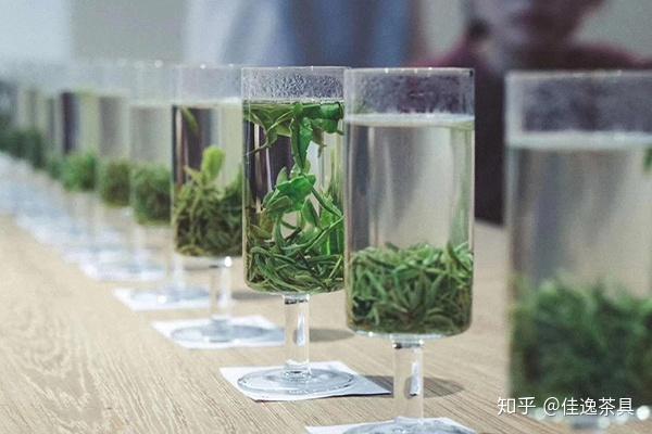 绿茶 茶艺 玻璃杯