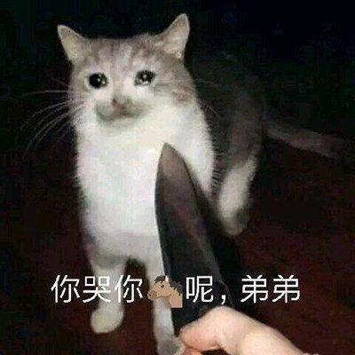 有没有很凶的表情包?