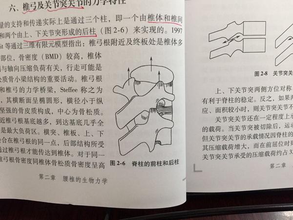 腰椎的受力,是有椎体与椎体之间,双侧上下关节突形成稳定的三角结构.