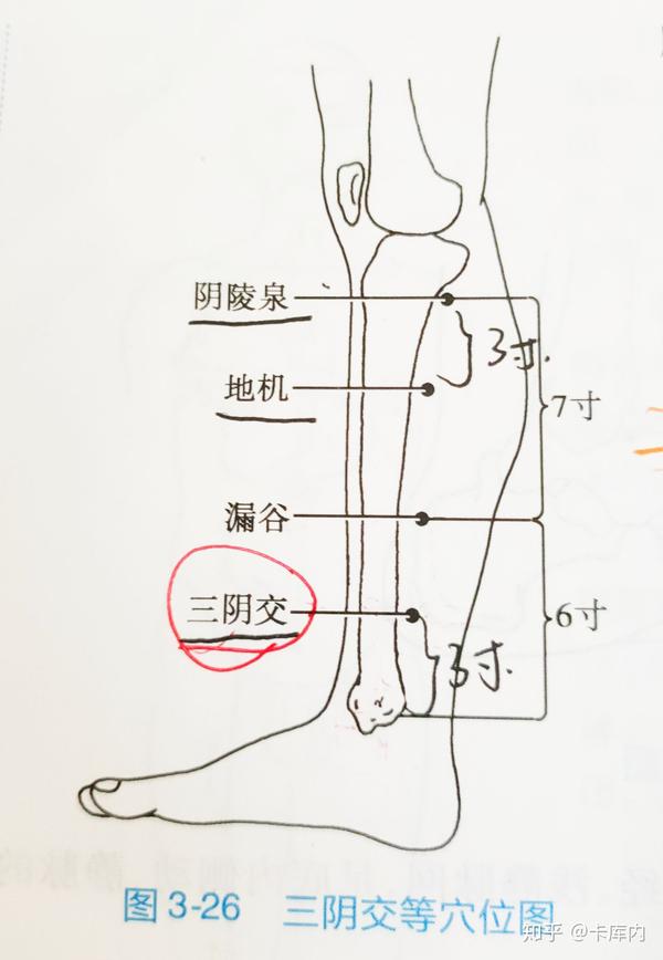 小腿部腧穴定位