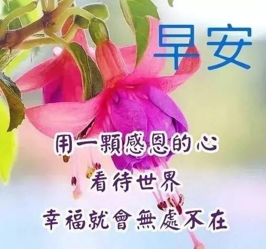 超好看的早上好温馨祝福语录图片 八月清晨问候大家早上好的漂亮图片