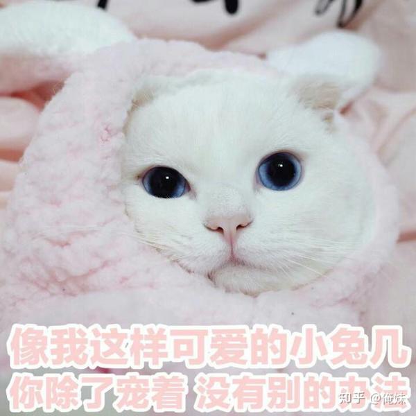 有什么适用于和老公/男票撒娇的可爱表情包?