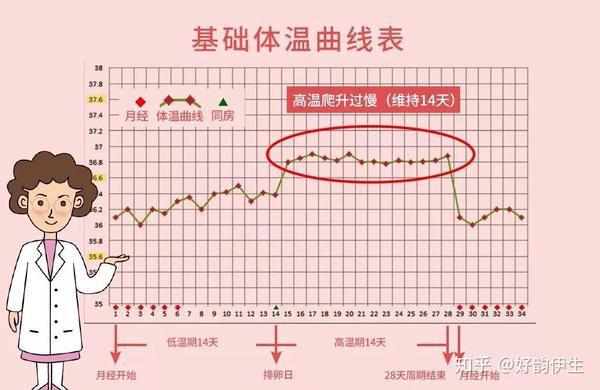 前方高能预警如何提升受精卵的质量