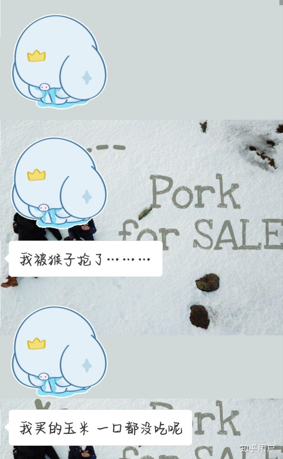微信和图片聊天发表情好?老婆包表情字姑娘带猫咪图片