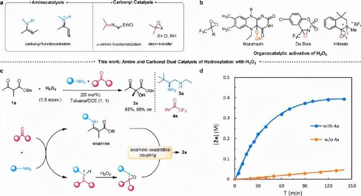 《jacs》清华大学:手性伯胺/酮协同催化h2o2不对称α