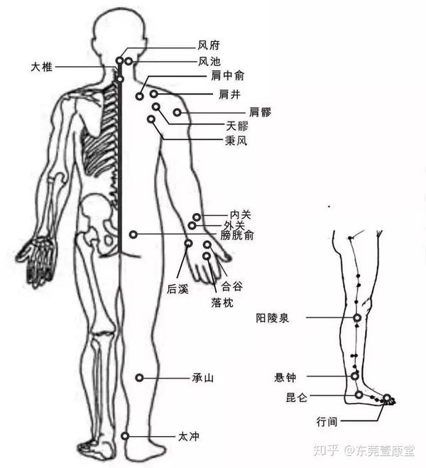 按摩穴位,可以辅助中风后遗症的恢复,调理晕厥,中风,失语,眩晕,痴呆