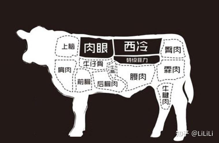 牛排是牛身上的哪部分肉