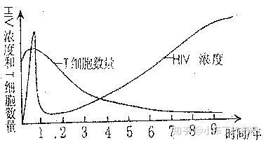 hiv病载和cd4细胞浓度关系