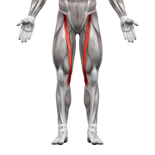 "盘腿坐"最伤这块肌肉,3个动作防损伤,远离大腿前内侧
