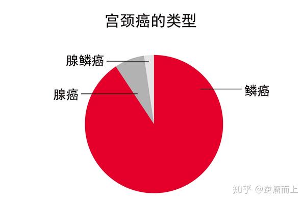 1月是宫颈癌关注月:8张图让你看懂宫颈癌