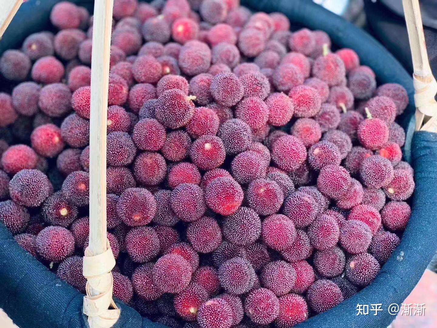 六月仙居东魁杨梅等你品尝