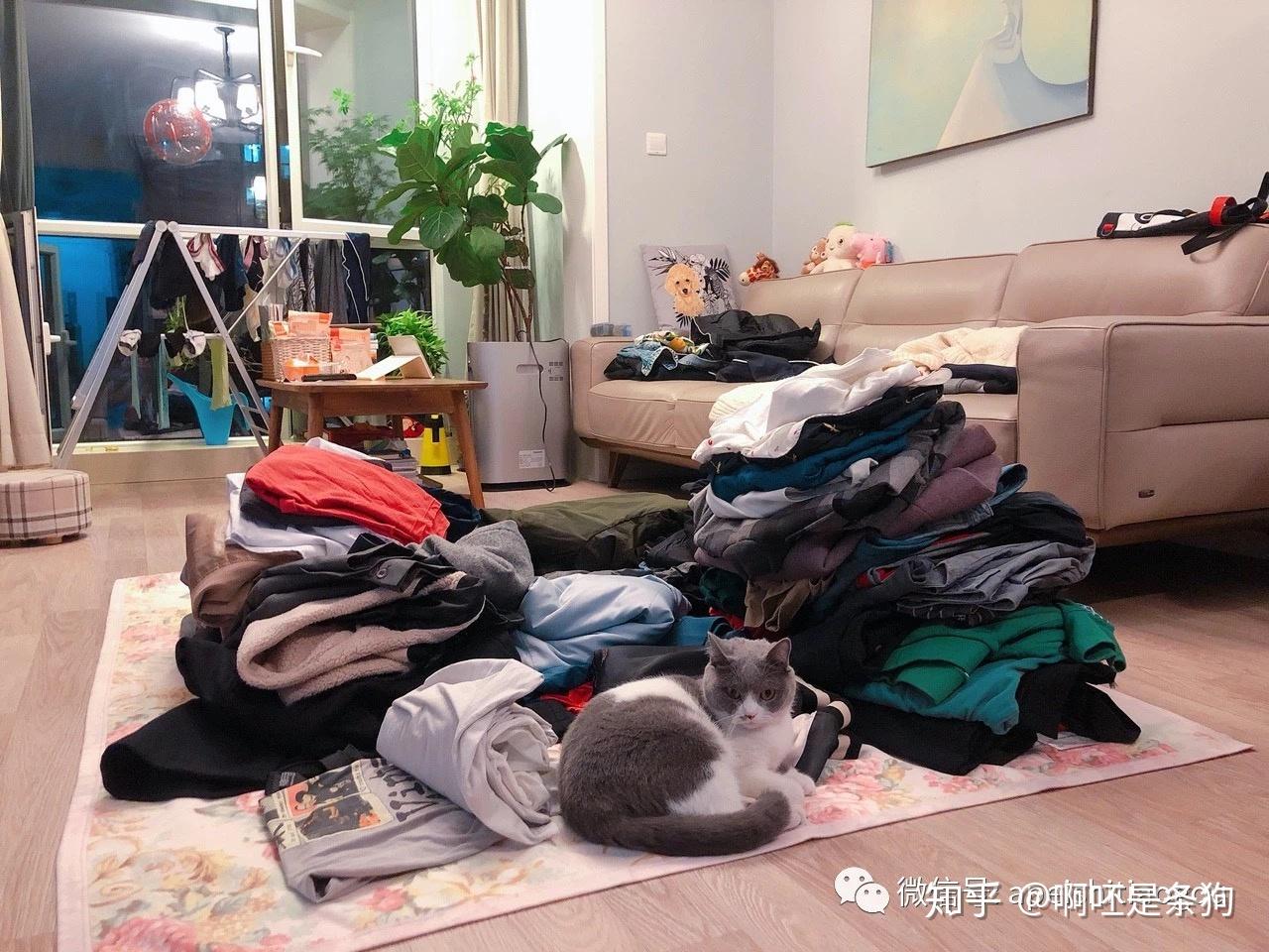 极简断舍离:忍痛丢掉那些年我买过的衣服