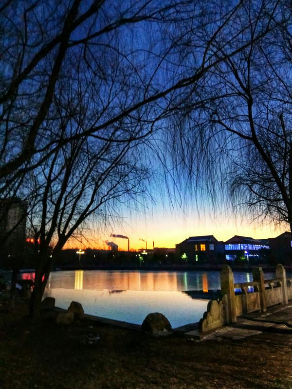 每次学累了就去琴湖看看风景,静谧的夜晚总是给予莫大的安慰,心情也不