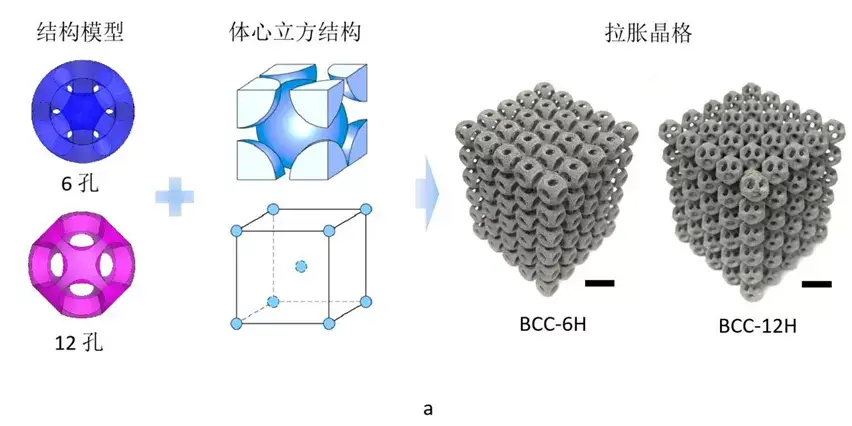 与理想的三维结构的匹配将使人们既可以利用拉胀型超材料的结构优势