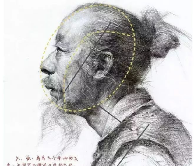素描头像的五官解析及头颈肩关系