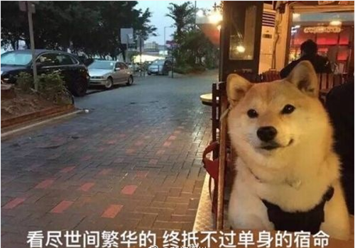 有没有什么时候会让你感觉会单身一辈子?