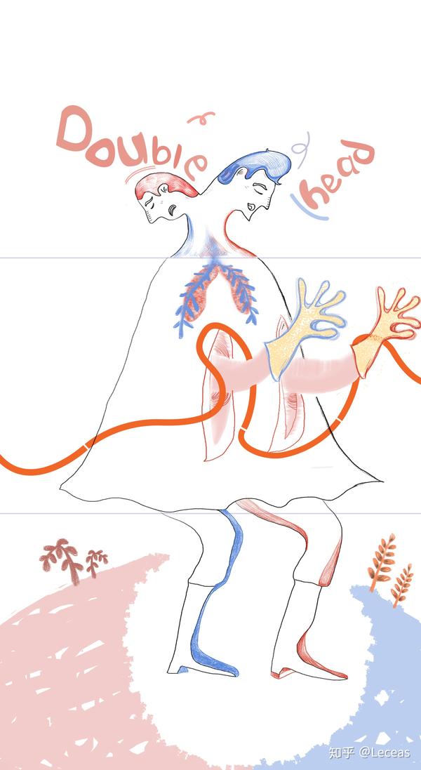 双头人:又称连体人,因双胞胎在母体里发育时,没有及时分开.