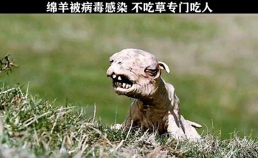 电影海洋鲨鱼可以射出毒液中毒的人们会像丧尸一样咬人