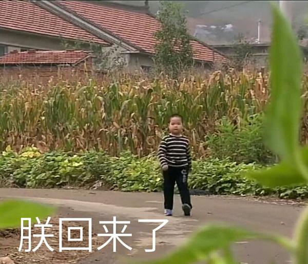 萌又可爱的小孩子表情包?例如小刚几,权律二,假笑男孩