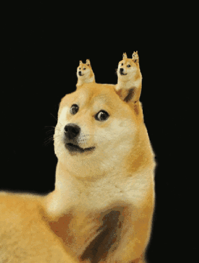 有没有不带字的表情包?