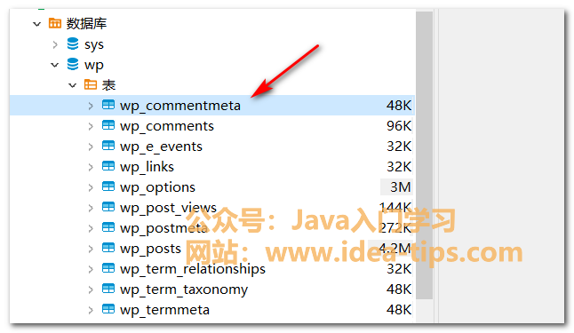 数据库查询必备:掌握iif语句,实现高效条件判断