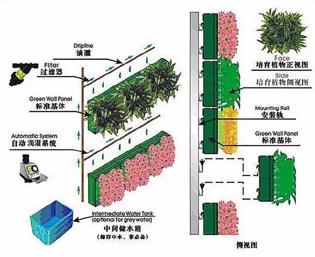 2017最最最全的绿植墙施工工艺深度详解实用必藏