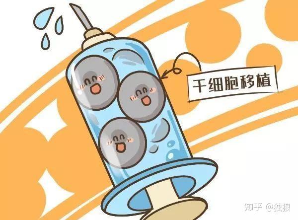 这是因为脐带血中含有可以重建人体造血和免疫系统的造血干细胞,可