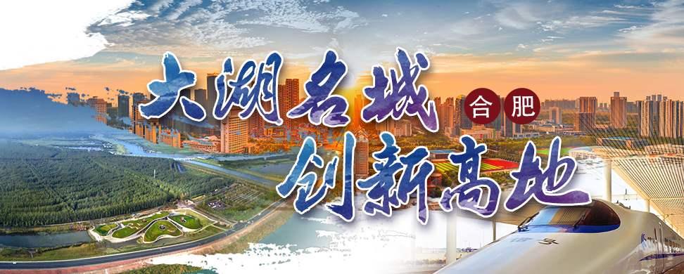 合肥滨湖新区省府板块最新控制性规划发布省府中轴大片商业配套省府东