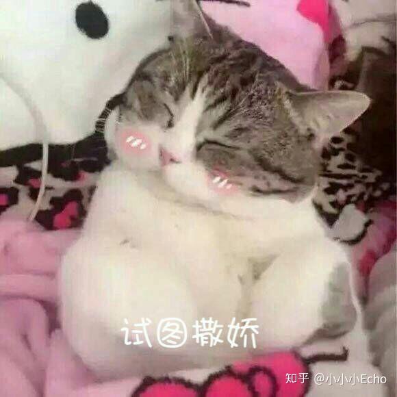 哈哈哈,现在这些表情包也会被他拿来向我撒娇(_)     委屈巴巴哭唧唧