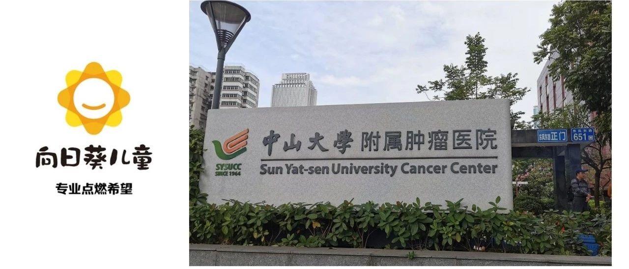 中山大学肿瘤防治中心中山大学附属肿瘤医院就医指南