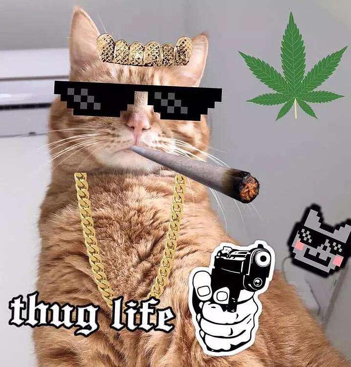 给nba球星杜兰特的女神寡姐画上thuglife特效
