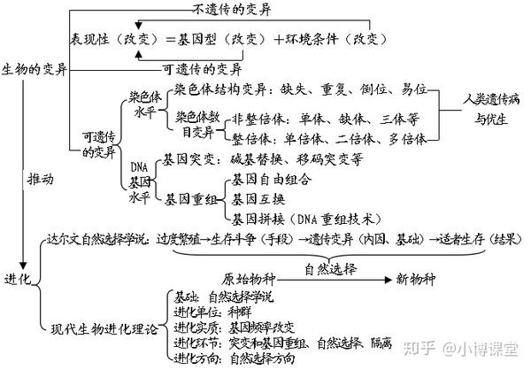 小博课堂:干货 | 高中生物思维导图最全汇总!简直太棒